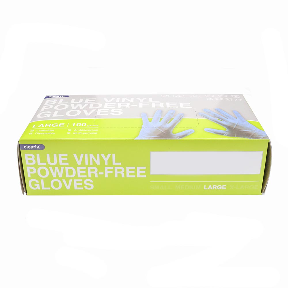 Accessories Large Powder Free Vinyl Gloves