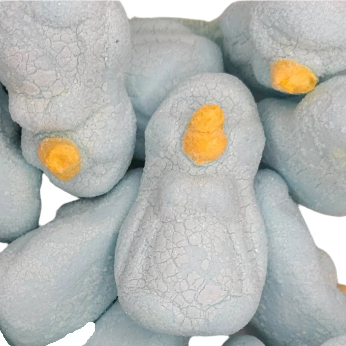 Freeze Dried Marshmallow Penguins Candy Mallows - Frosty Sweet Factory