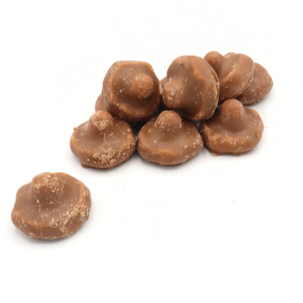 Dals Chocolate Covered Mushrooms 2.2KG