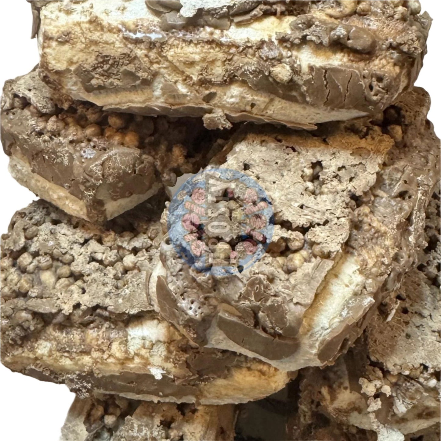 Freeze Dried Chocolate Double Dex Sweets Candy - Frosty Sweet Factory