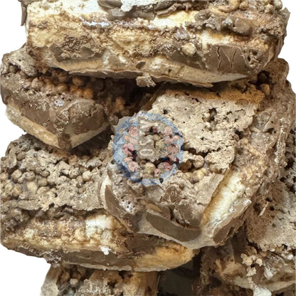 Freeze Dried Chocolate Double Dex Sweets Candy - Frosty Sweet Factory