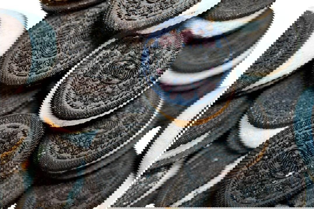 Freeze Dried Cookies Big UK Oreo Biscuits Sweets Candy - Frosty Sweet Factory