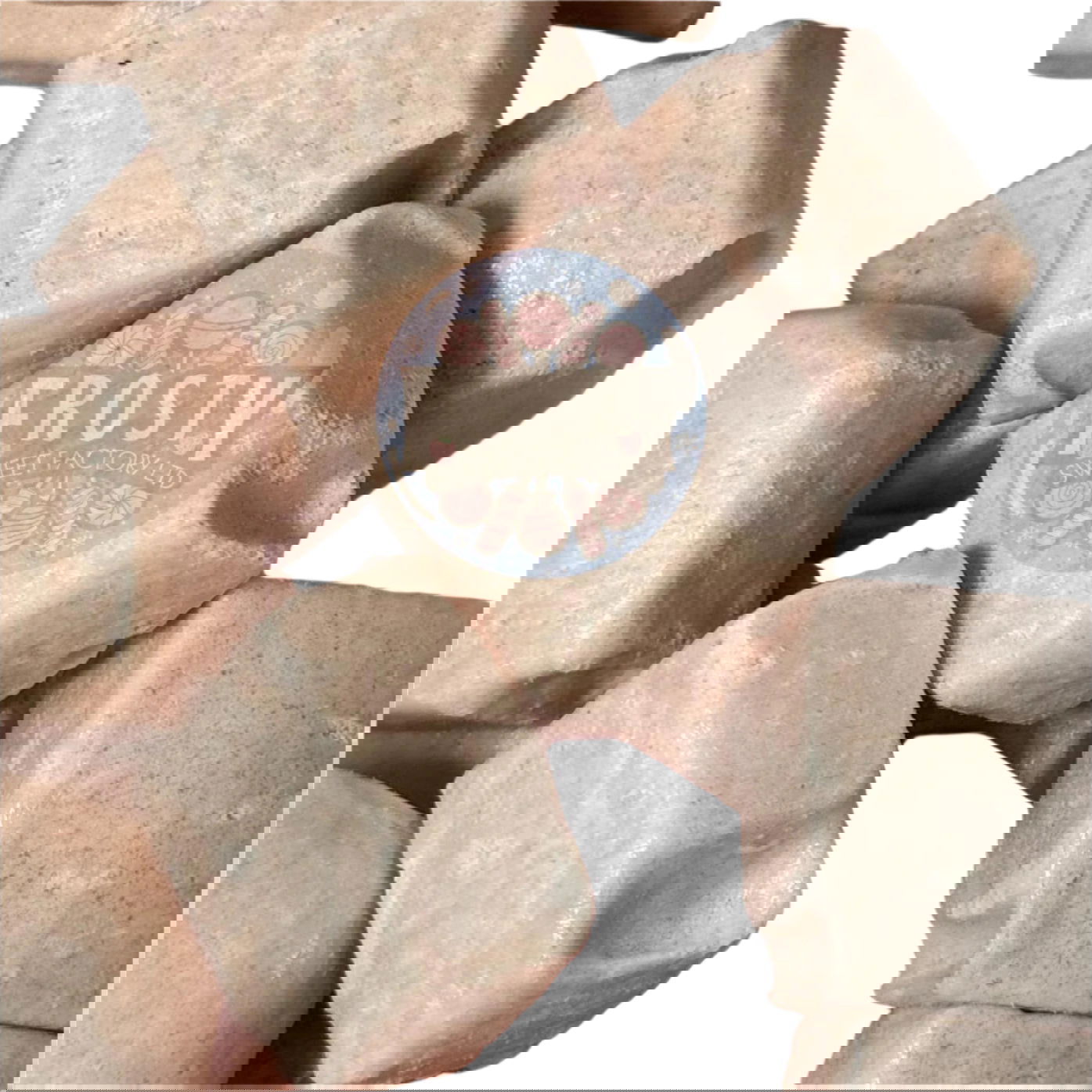 Freeze Dried Sweets Chewits Cola Flavour Bites Candy - Frosty Sweet Factory