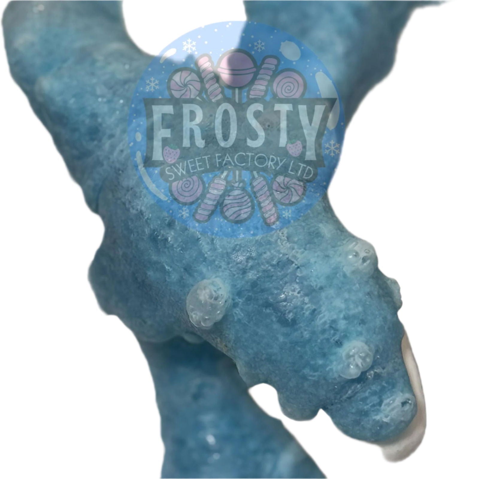 Freeze Dried Sweets Giant Dolphins Candy - Frosty Sweet Factory