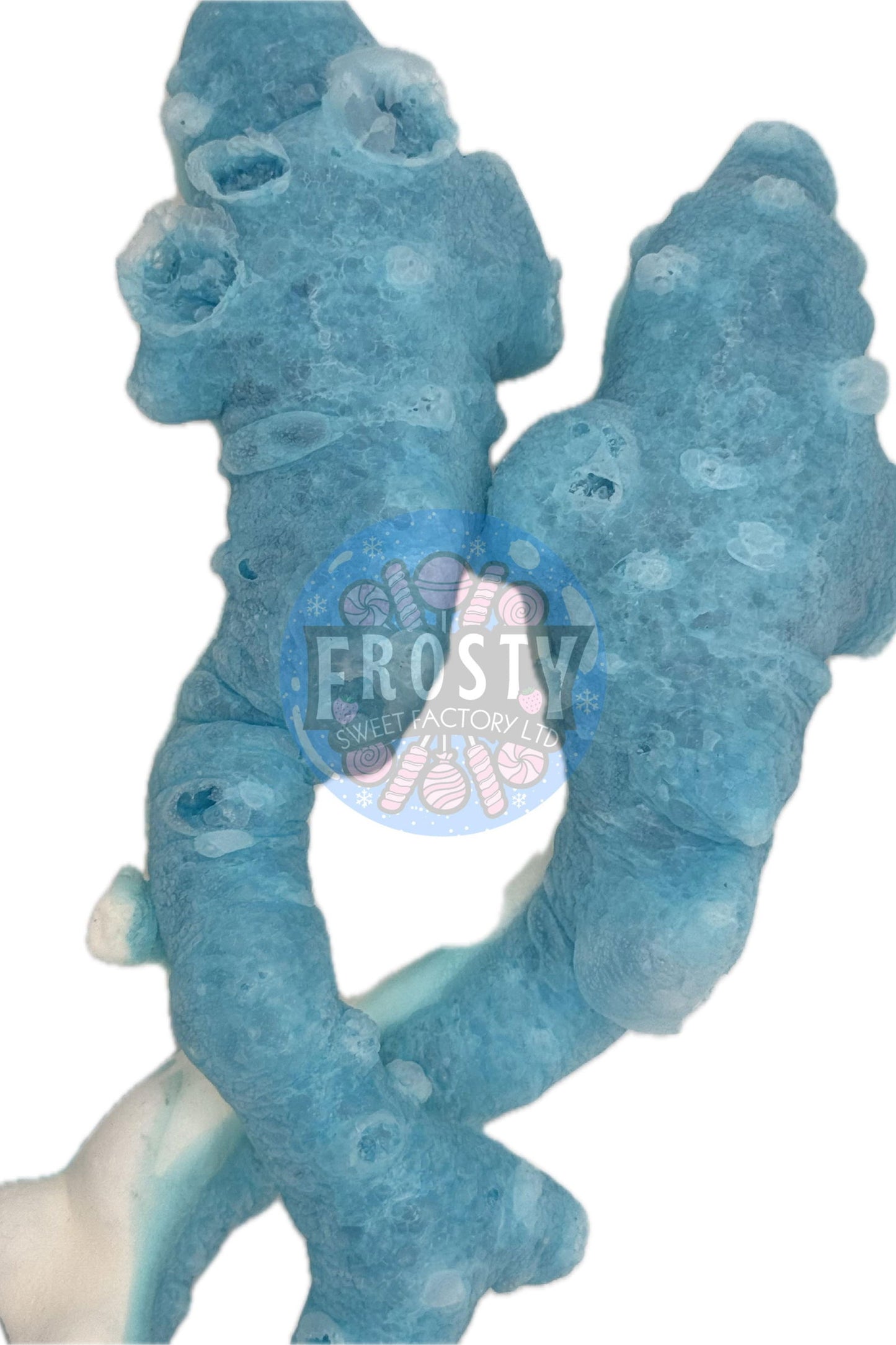 Freeze Dried Sweets Giant Dolphins Candy - Frosty Sweet Factory