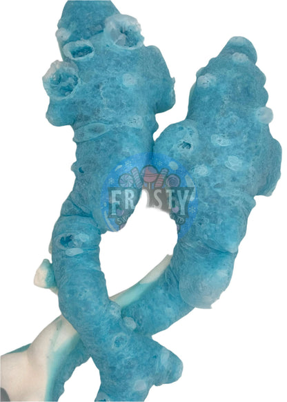 Freeze Dried Sweets Giant Dolphins Candy - Frosty Sweet Factory