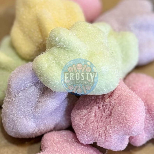 Freeze Dried Sweets Sour Squadrons Candy - Frosty Sweet Factory