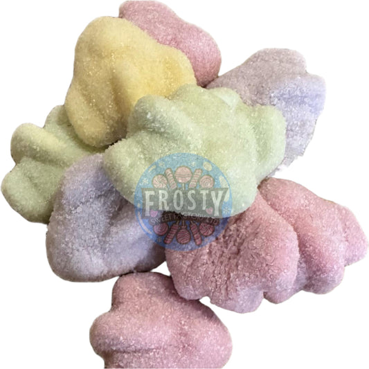 Freeze Dried Sweets Sour Squadrons Candy - Frosty Sweet Factory